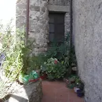 La Rosa Hotel Pauli Arbarei