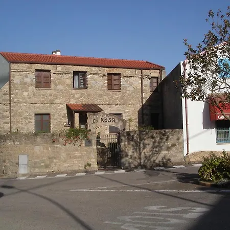 La Rosa Pauli Arbarei