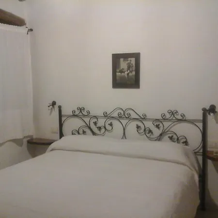 Hotel La Rosa Pauli Arbarei